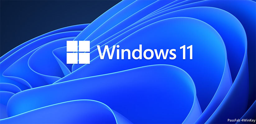 ويندوز 11